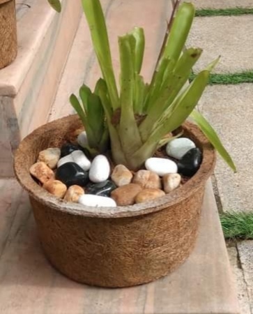 gallery grid image