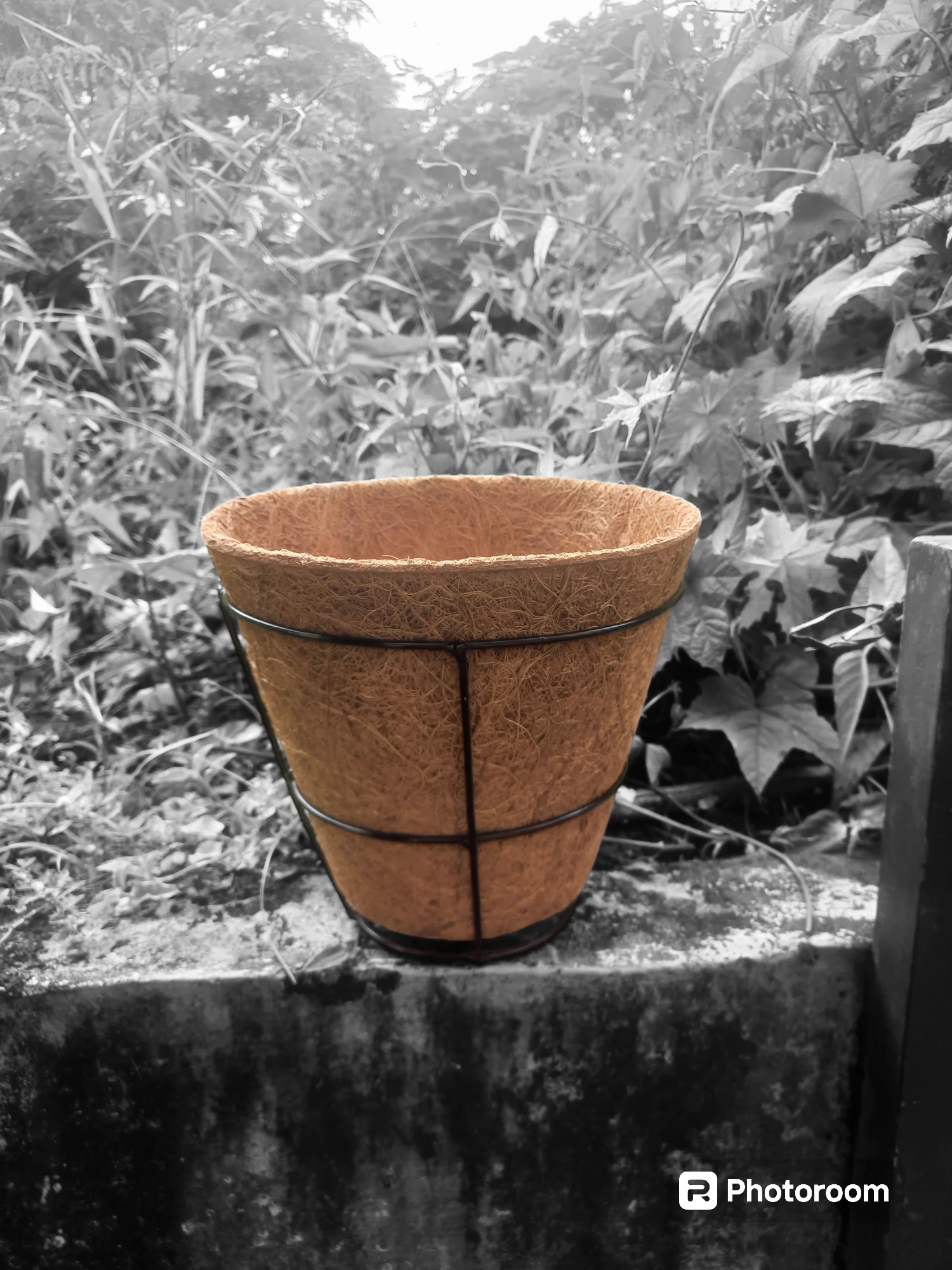 gallery grid image